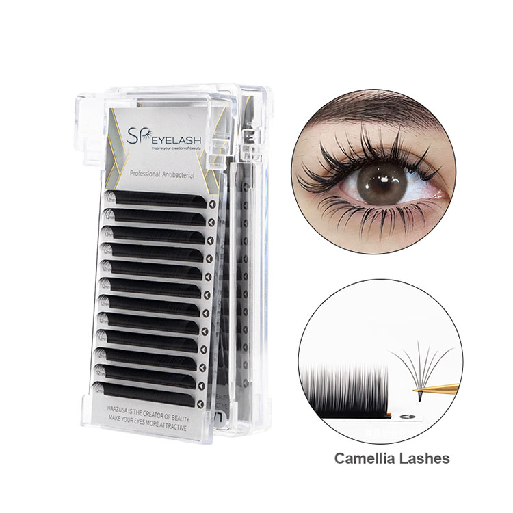 0,07 camellia lash tray
